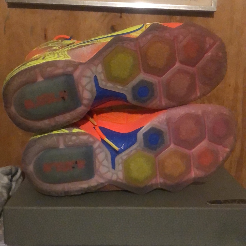 Lebrons - Picture 6 of 7